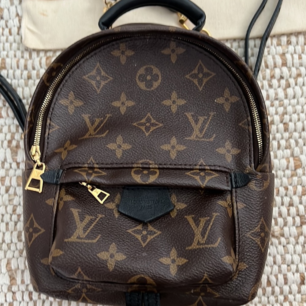 Louis Vuitton, Palm Springs Mini backpack